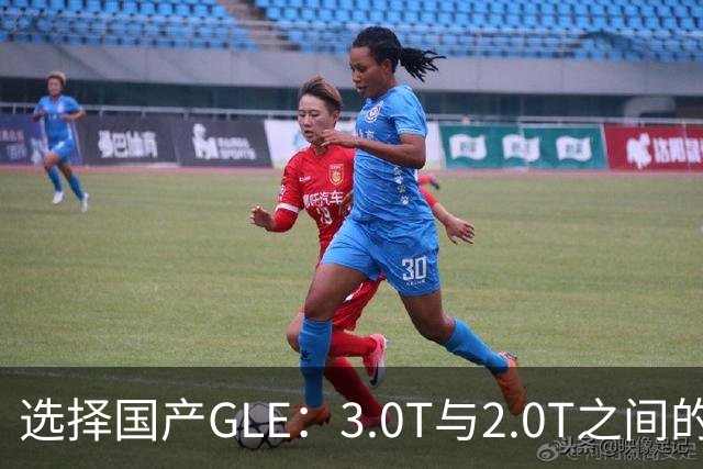 选择国产GLE：3.0T与2.0T之间的投资价值分析